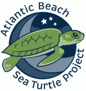 Atlantic Beach Sea Turtle Project logo