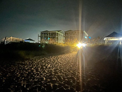 Spotlight shining towards beach and nesting sea turtles.
