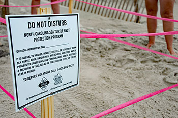 Sea turtle nest is roped off and posted with a sign.