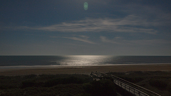 A moonlit ocean attracts hatchlings to the water away from a darker inland.