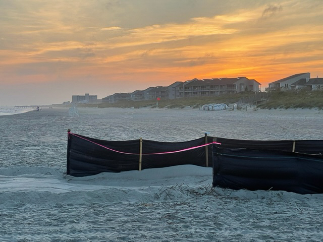 Sea turtle nest surrounded by black shade cloth to protect hatchlings from light pollution and a smoothed trench in the sand leading to the water,